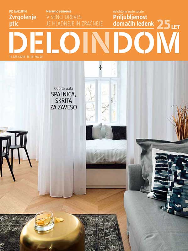 DeloINDom